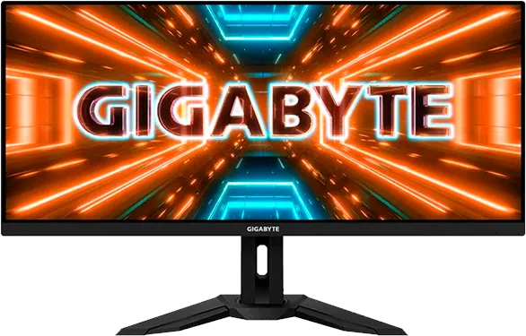 Gigabyte